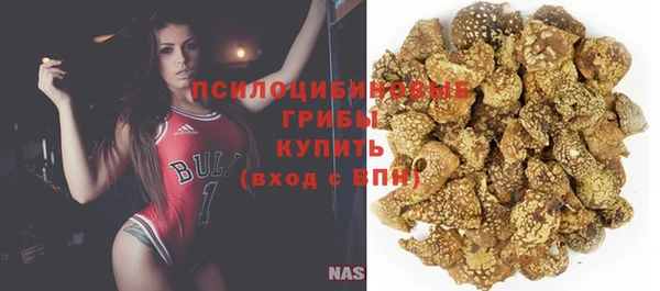 гидра Ростов