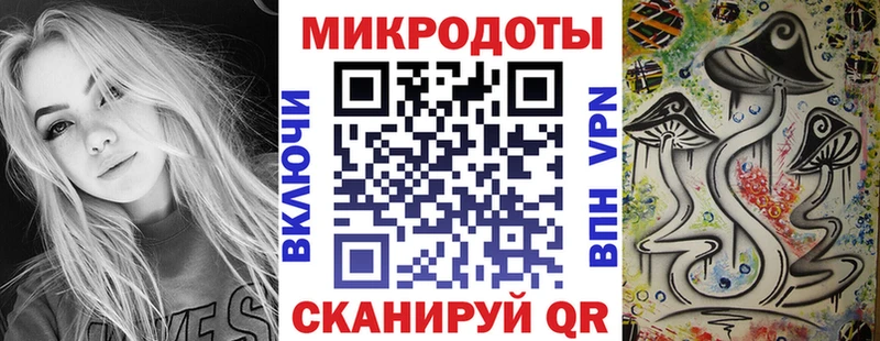 Галлюциногенные грибы Psilocybe Добрянка